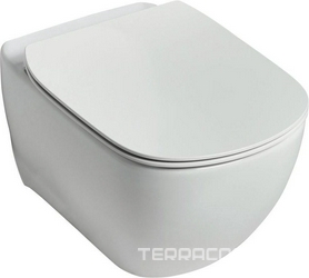 Унитаз подвесной Ideal Standard Tesi T355101 безободковый| 53x36x33