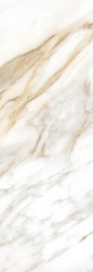 CALACATTA  ORO |24.2x70