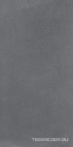 Керамогранит Ergon Medley Dark Grey Minimal Nat.ZZ60x120 Серый 