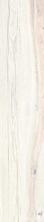 Daring Ivory |24x120