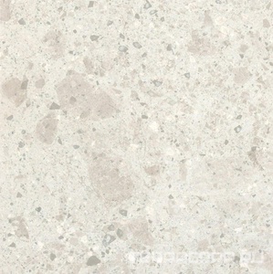 Керамогранит Ariostea Fragmenta Bianco Greco Soft 60x60 Серый 