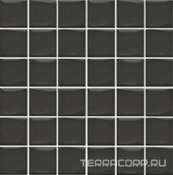 Анвер серый темный|30.1х30.1
