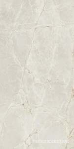 Керамогранит Benadresa Majestic  Pearl Silky 60x120 Серый 