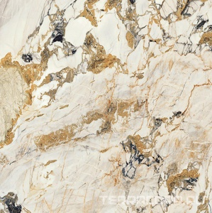 Керамогранит Florim Magnum Etoile De Rex Etoile Symphonie Matte 120x120 Комбинированный 