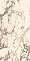 Calacatta Viola Soft 60x120