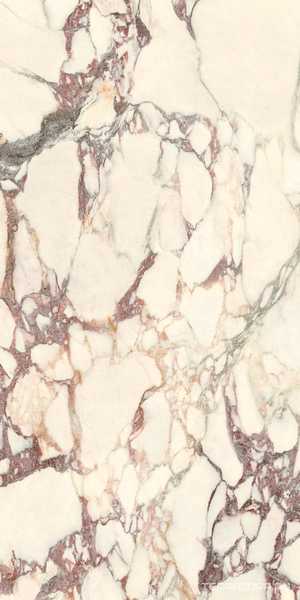 Calacatta Viola Soft 60x120
