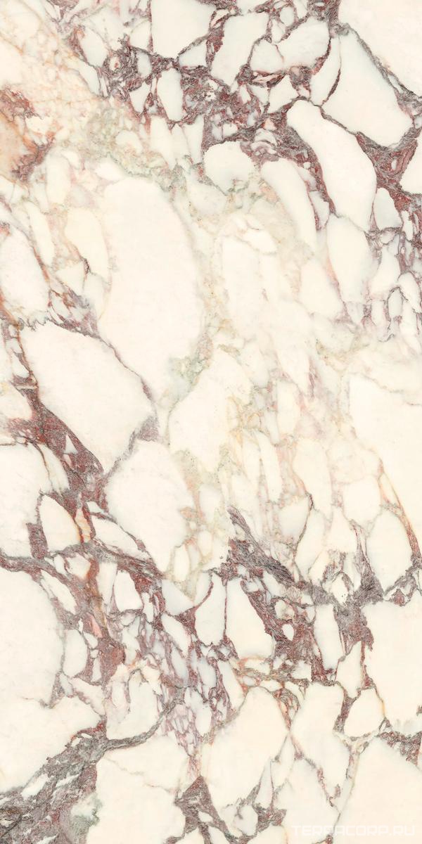 Керамогранит Ariostea Marmi Classici Calacatta Viola Soft 60x120 Белый, фото 6