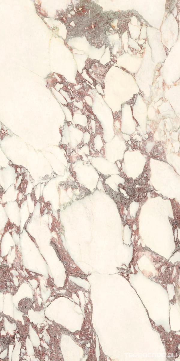 Керамогранит Ariostea Marmi Classici Calacatta Viola Soft 60x120 Белый, фото 5