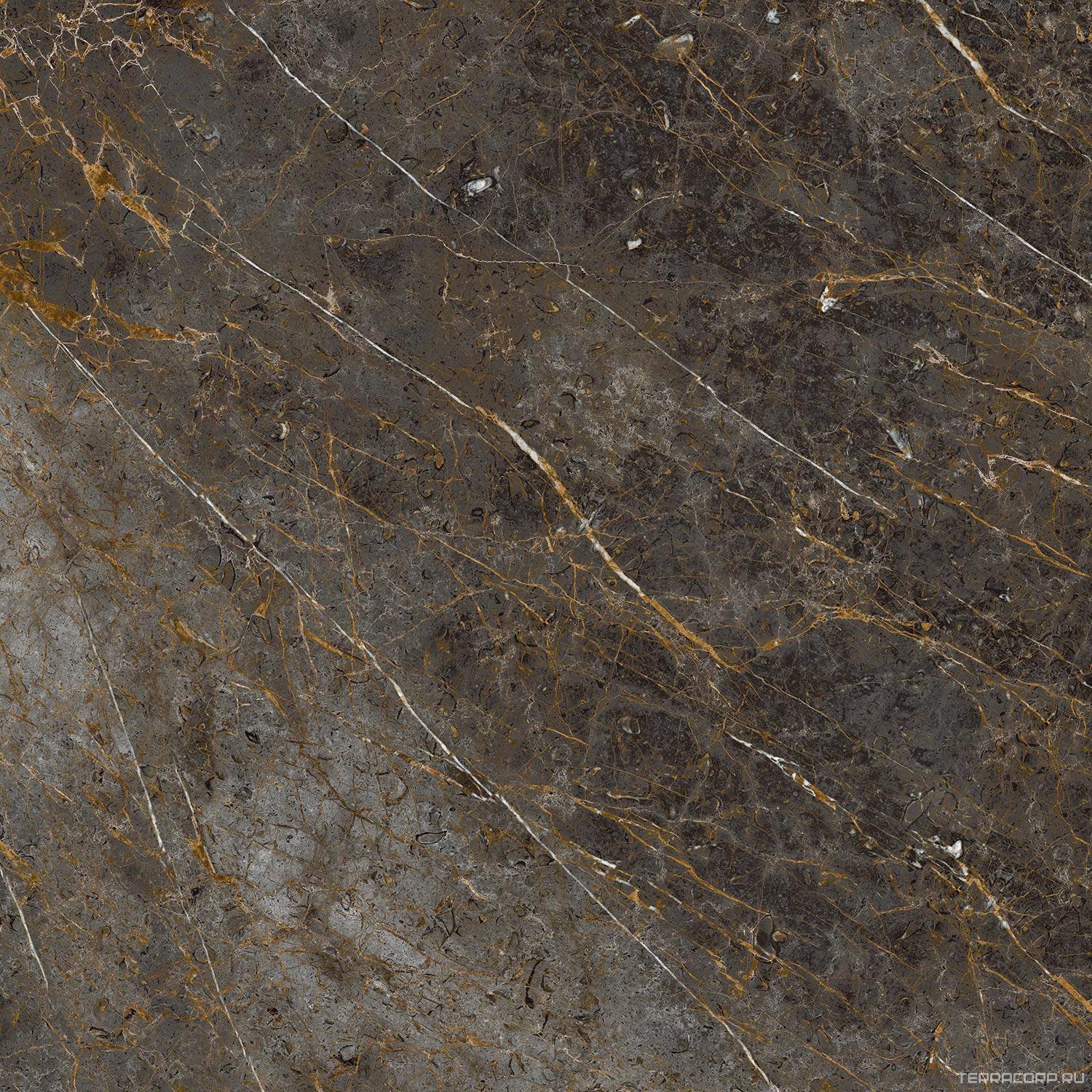 Керамогранит La Faenza Aesthetica AE GOL6 120 RM ( п.п.)120x120 Коричневый, фото 7