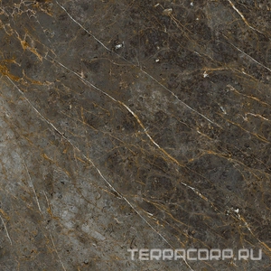 Керамогранит La Faenza Aesthetica AE GOL6 120 RM ( п.п.)120x120 Коричневый 