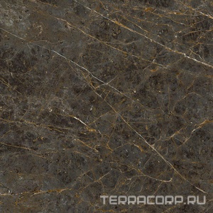 Керамогранит La Faenza Aesthetica AE GOL6 120 RM ( п.п.)120x120 Коричневый 