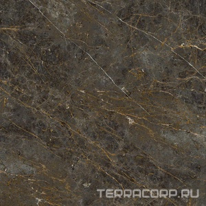 Керамогранит La Faenza Aesthetica AE GOL6 120 RM ( п.п.)120x120 Коричневый 