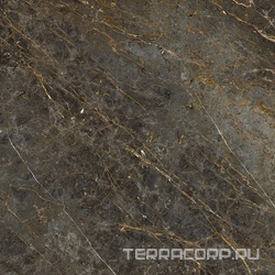 AE GOL6 120 RM ZZ ( п.п.)120x120