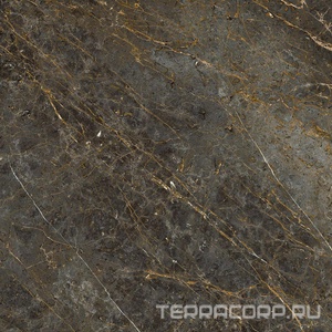 Керамогранит La Faenza Aesthetica AE GOL6 120 RM ( п.п.)120x120 Коричневый 