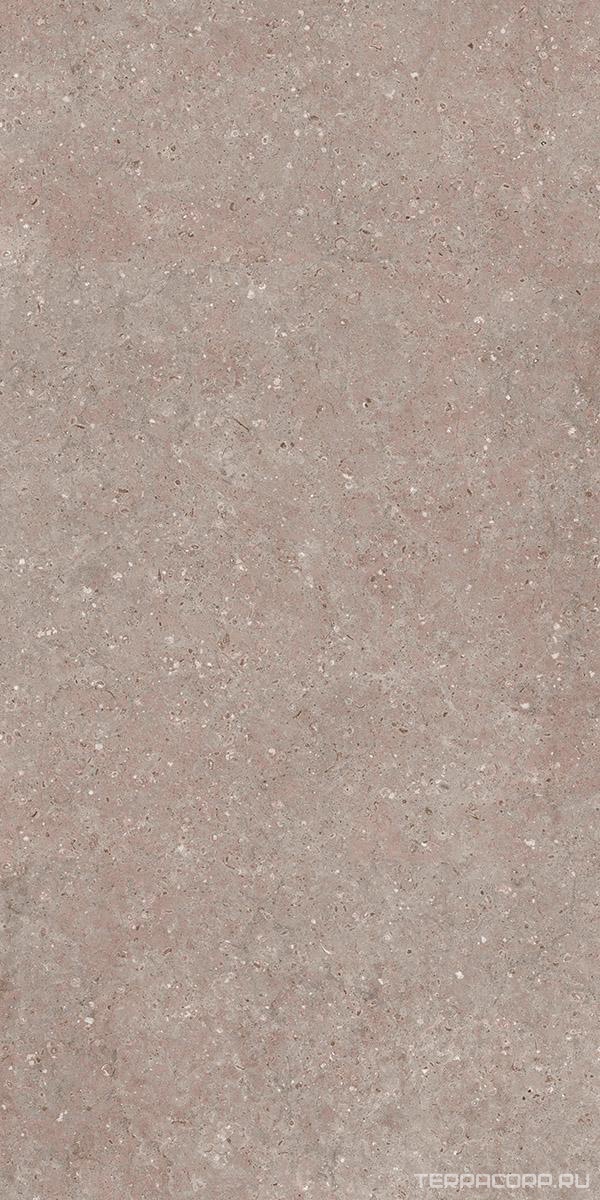 Керамогранит Гранитея Аркаим Arkaim Beige G212/ бежевый мат.60x120 Бежевый, фото 4