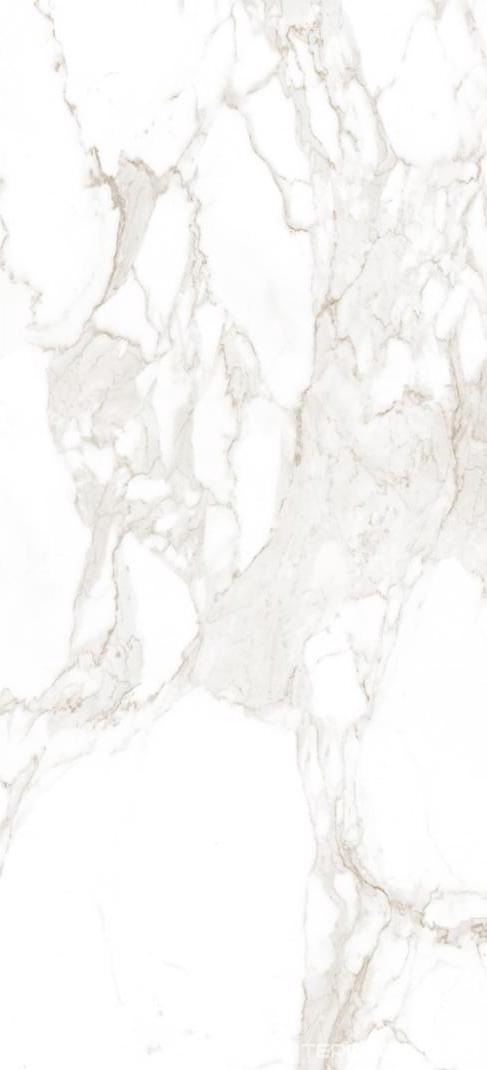 Керамическая плитка FAP Ceramiche Roma Calacatta Matt I 50x120 Белый, фото 6