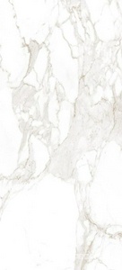 Керамическая плитка FAP Ceramiche Roma  Calacatta Matt I 50x120 Белый 