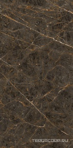 Керамогранит La Faenza Aesthetica AE GOL6 12 LP 60x120 Коричневый 