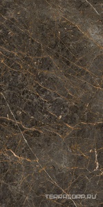 Керамогранит La Faenza Aesthetica AE GOL6 12 LP 60x120 Коричневый 