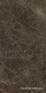 Керамогранит La Faenza Aesthetica AE GOL6 12 LP 60x120 Коричневый 