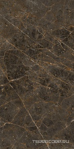 Керамогранит La Faenza Aesthetica AE GOL6 12 LP 60x120 Коричневый 