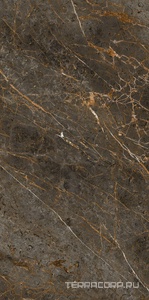 Керамогранит La Faenza Aesthetica AE GOL6 12 LP 60x120 Коричневый 