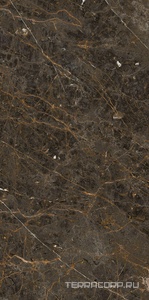 Керамогранит La Faenza Aesthetica AE GOL6 12 LP 60x120 Коричневый 