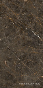 Керамогранит La Faenza Aesthetica AE GOL6 12 LP 60x120 Коричневый 