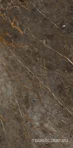 Керамогранит La Faenza Aesthetica AE GOL6 12 LP 60x120 Коричневый 