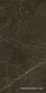 Керамогранит Benadresa Tessino  Bronze Pulido ZZ 60x120 Коричневый 