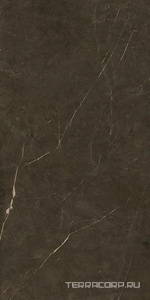 Керамогранит Benadresa Tessino  Bronze Pulido ZZ 60x120 Коричневый 