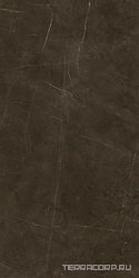 Tessino Bronze Pulido |60x120