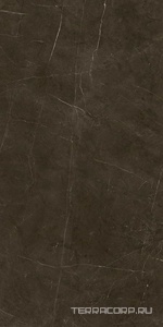 Керамогранит Benadresa Tessino  Bronze Pulido ZZ 60x120 Коричневый 