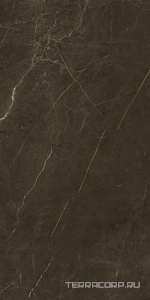 Керамогранит Benadresa Tessino  Bronze Pulido ZZ 60x120 Коричневый 