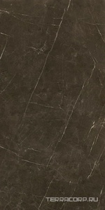 Керамогранит Benadresa Tessino  Bronze Pulido ZZ 60x120 Коричневый 