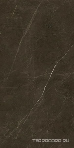 Керамогранит Benadresa Tessino  Bronze Pulido ZZ 60x120 Коричневый 