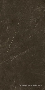 Керамогранит Benadresa Tessino  Bronze Pulido ZZ 60x120 Коричневый 