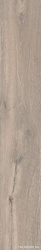 Roots Taupe 20x120
