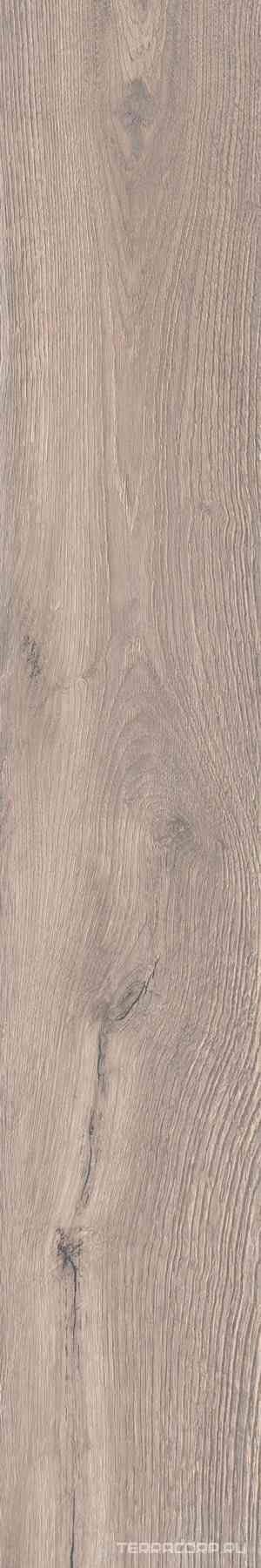 Roots Taupe 20x120