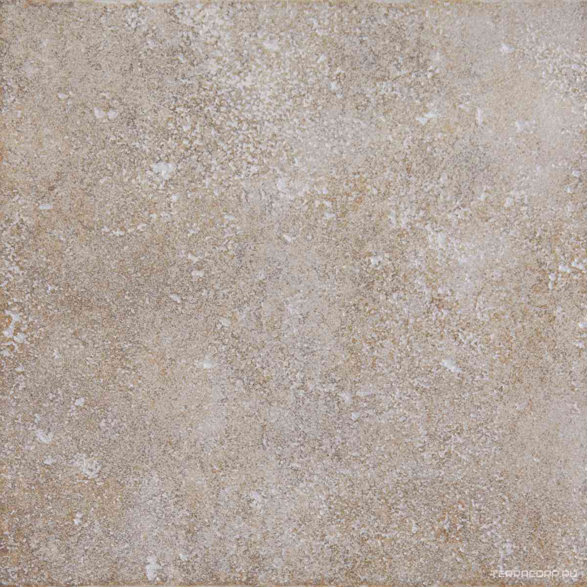 Vison 33x33