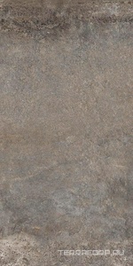 Керамогранит Sadon Provence  Multicolor IN Rett. 30x60 Коричневый 