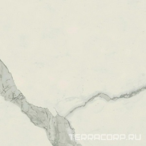 Керамогранит AtlasConcorde Россия EMPIRE Empire Statuario 60x60 /ЭМПАИР СТАТУАРИО 60x60 Белый 