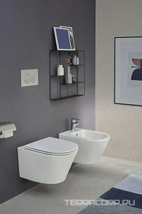 Подвесной унитаз  RODIN+ Rimless, БЕЗ крышки-сиденья (E23280-00), цв. белый Jacob Delafon Rodin+ EDY102-00