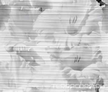 Керамическая плитка Gracia ceramica Celia  white panno 01 (из 2х частей 25x60)  50х60 Белый 