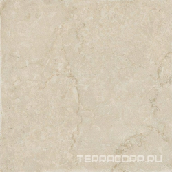 Кампионе бежевый светлый матовый |30.2x30.2
