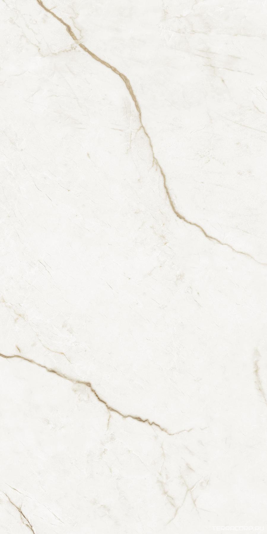 Керамогранит AtlasConcorde Россия FORTE DEI MARMI QUARK F.d.M.Quark Sahara Bl. Rett 60x120 Cer/Ф.Д.М.Кварк Сахара Бл. Рет 60Х120 Пат Белый, фото 7