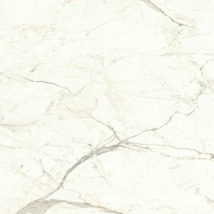 Керамогранит Atlas Concorde Italy Marvel Shine Marvel Calacatta Prestigio Lapp. 120x120 Белый 