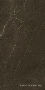 Керамогранит Benadresa Tessino  Bronze Nat 60x120 Коричневый 