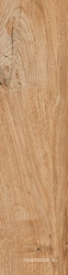 Daring Nut BSlim  ZZ|15x61