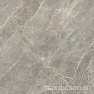 Керамогранит Florim Magnum Etoile De Rex Etoile Gris Mat 120x120 Серый 